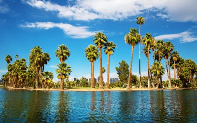 Is Phoenix Water Safe to Drink?