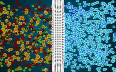 Water Conditioner vs Water Softener