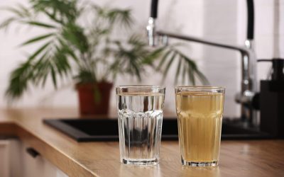 Effects of PFOS and How Filters Can Help Protect You from Them