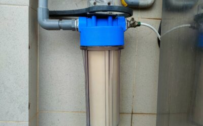 How Often Should You Replace Your Water Filter in Arizona?