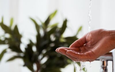 Top 5 Water Problems in Phoenix and How We Solve Them