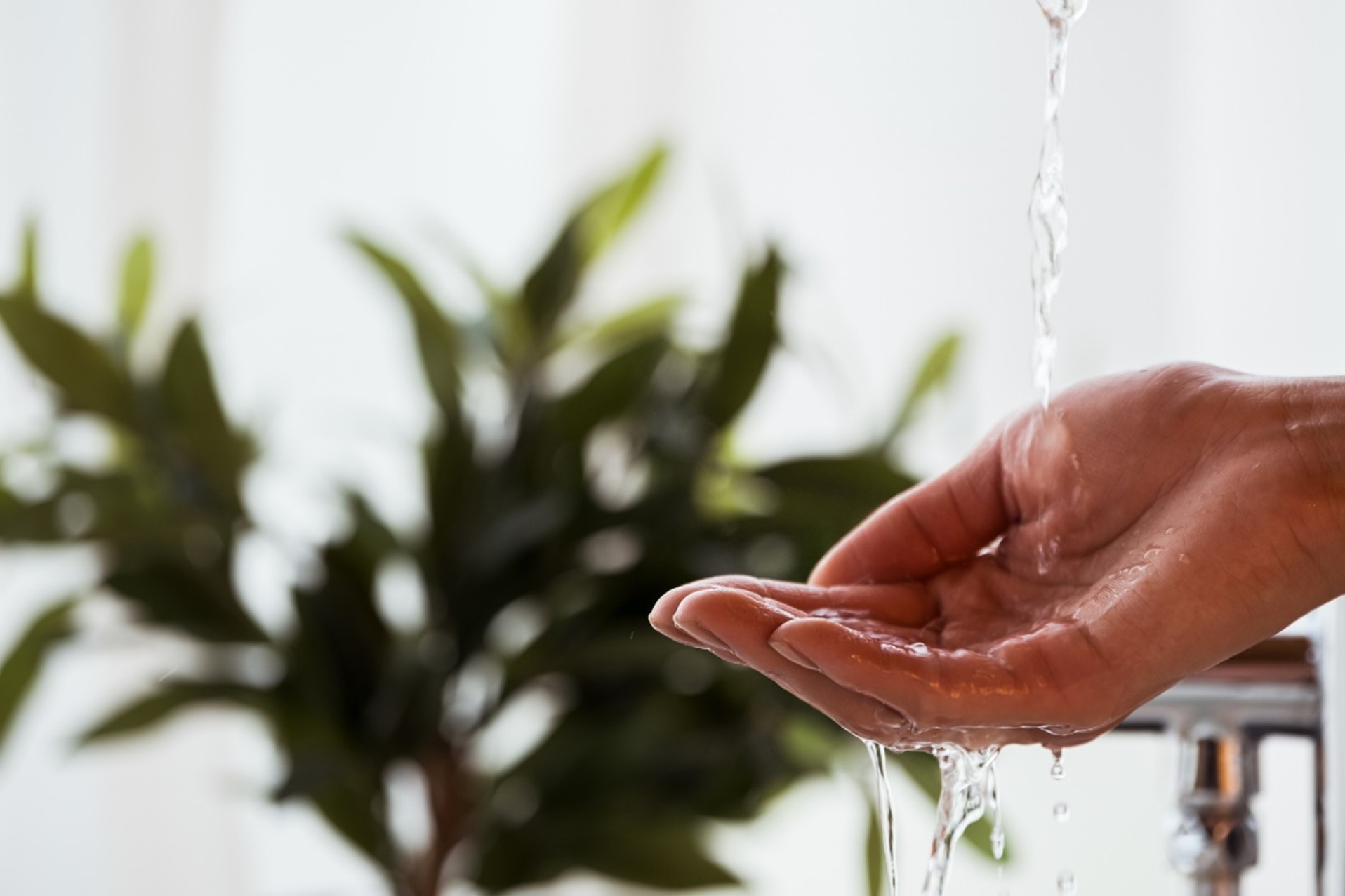 Common water issues in Phoenix, AZ