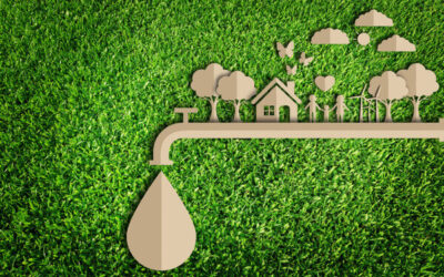 Simple But Effective Water Conservation Tips