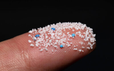 How Microplastics are Unseen Threats to Aquatic Systems and Human Health