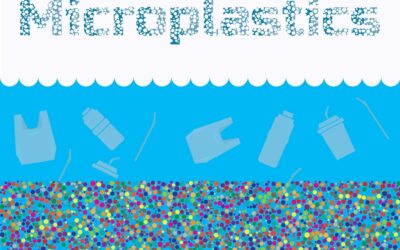 Microplastics in Home Filtration Systems: What You’re (Not) Removing