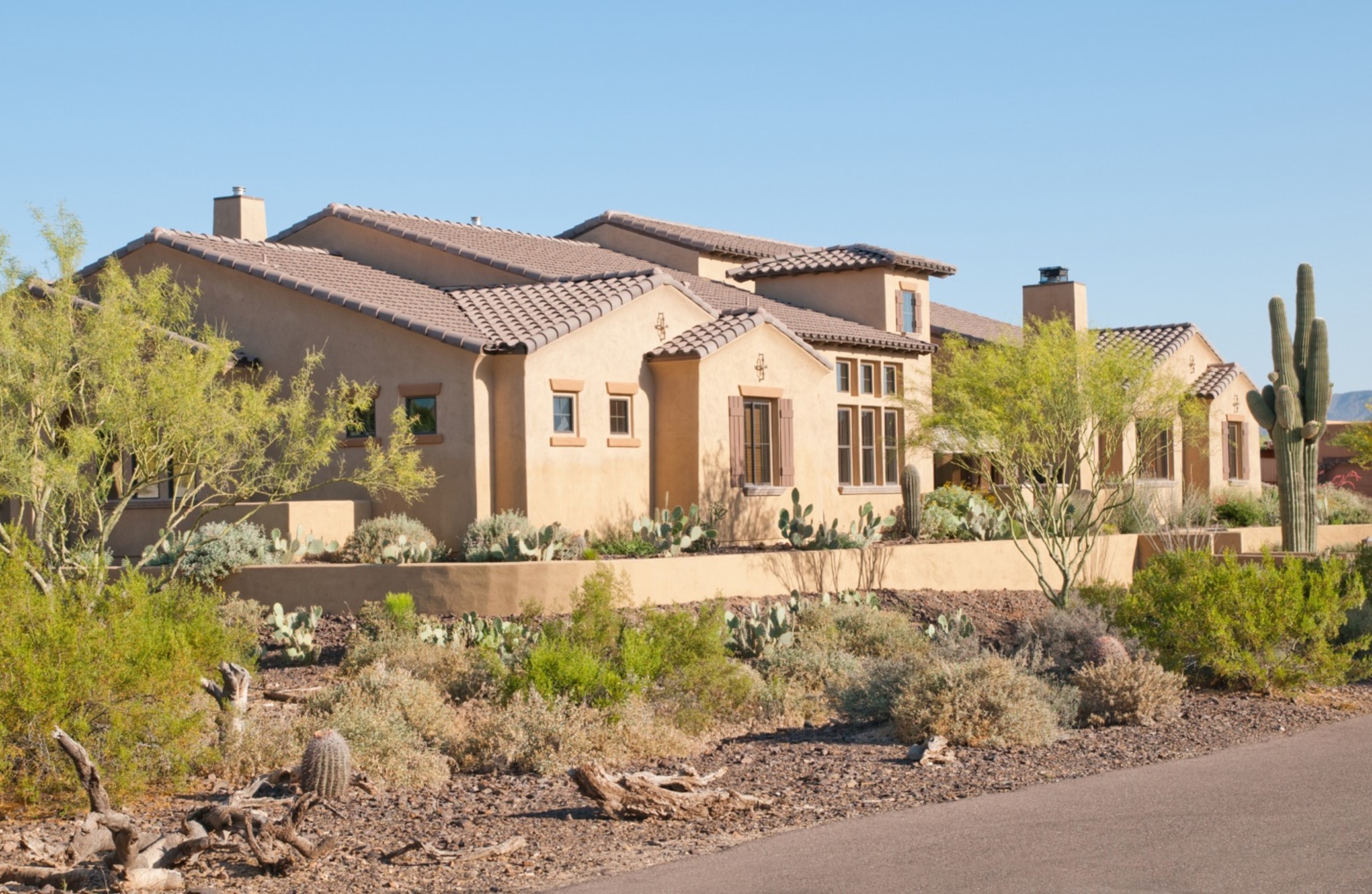 Southwestern style rural Arizona home surrounded by desert plants and cactiSouthwestern style rural Arizona home surrounded by desert plants and cacti